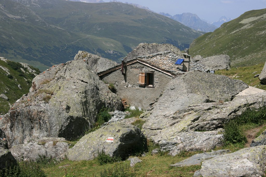 20070806_295